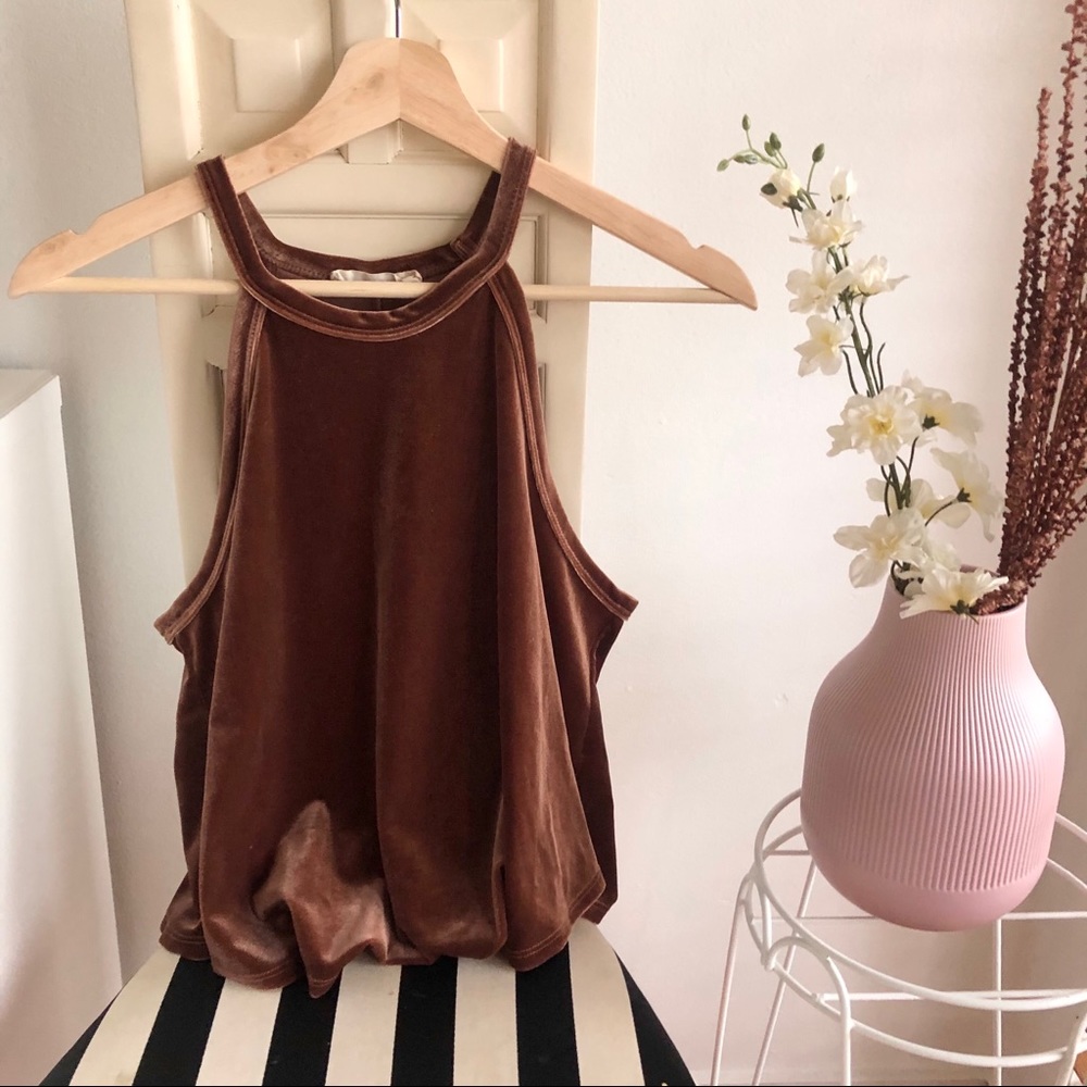 Chloe & Katie Velvet Top in Brown